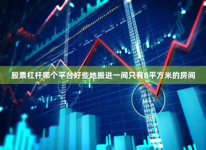 股票杠杆哪个平台好些她搬进一间只有8平方米的房间