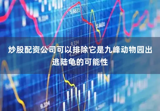 炒股配资公司可以排除它是九峰动物园出逃陆龟的可能性