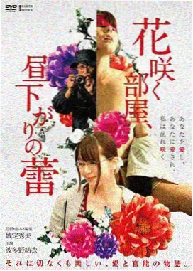 归乡记详情影像，桑田小径与薄荷绿稻秧